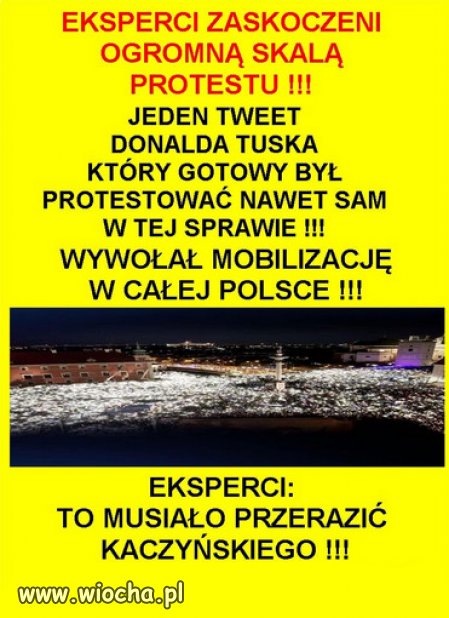 To była tylko próba...żoliborska menda robi w  pampersy.