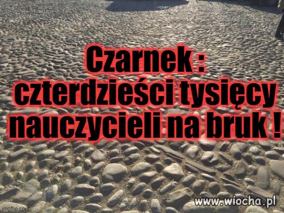 Po co nam nauczyciele,