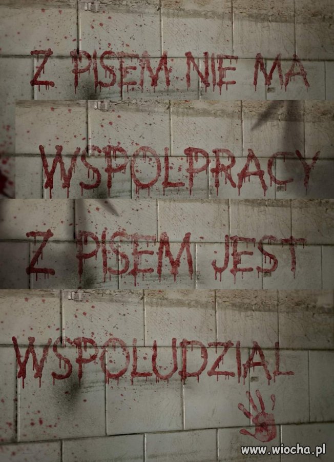 Tylko przypominam: