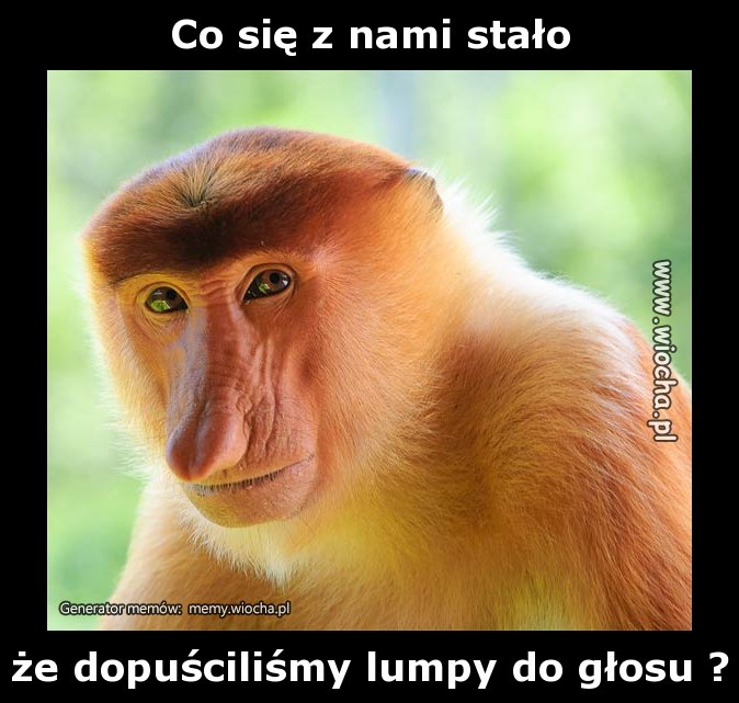 Co się z nami stało