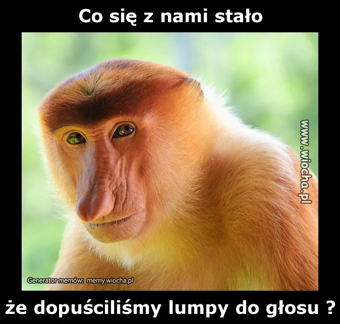 Co się z nami stało