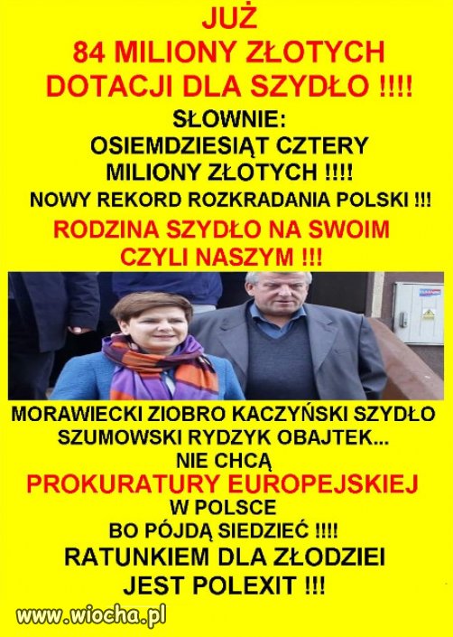 Do polityki nie idzie się dla pieniędzy...