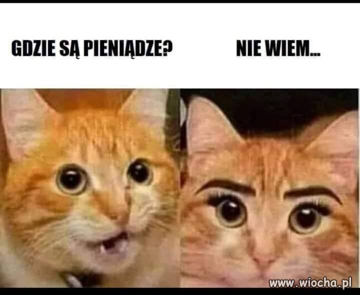Gdy całą wypłatę oddajesz żonie 