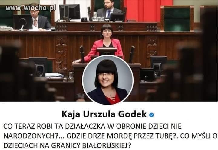 Kaja Godek