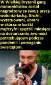 A u nas bohaterski Bąkiweicz