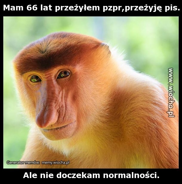 Mam 66 lat przeżyłem pzpr,przeżyję pis.
