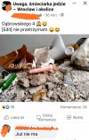 Już nie ma, bo go wzięła.