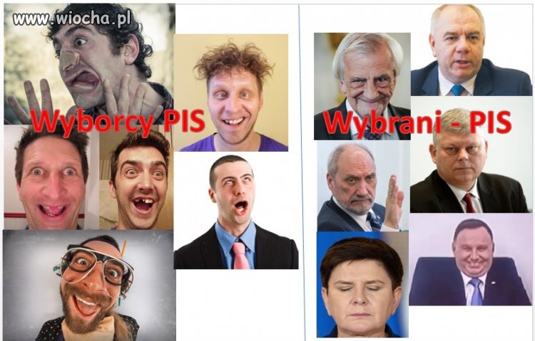 Wybory PIS vs Wybrani PIS klub Idiotów