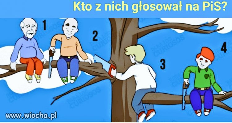 Zanalizuj sytuację i wskaż wyborcę PiSu.