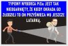 I co z tego że kradną przecież się dzielą