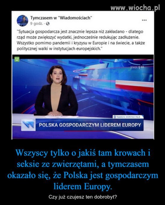 Podobno telewizja kształci! (nie dajcie się oszaleć)