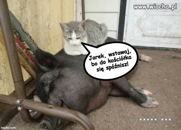 Niedzielny poranek