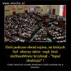 Dziś panika w sejmie, ktoś zawołał: Łapać Złodzieja!