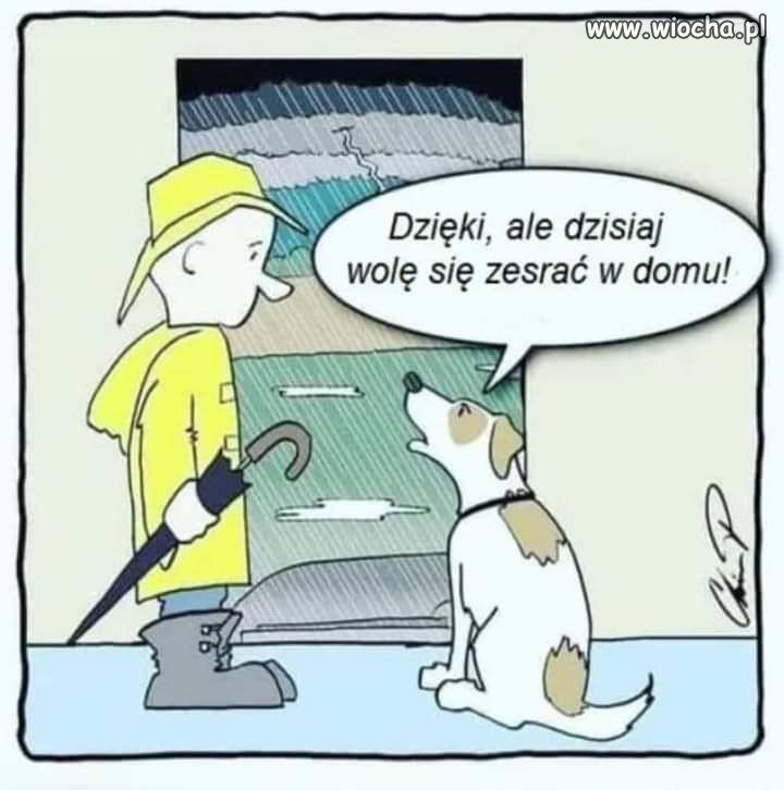 Jesień już nadciąga 