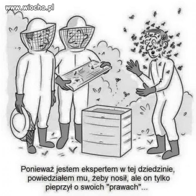 Wciąż aktualne.