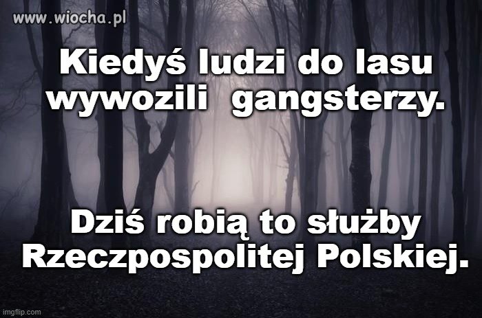 Władza ogląda za dużo