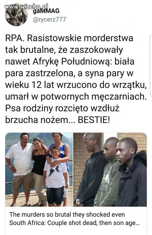 Małpy już takie są