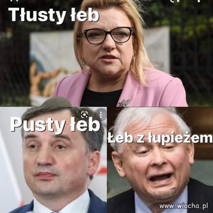 Szeroka oferta ...