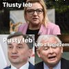 Szeroka oferta ...