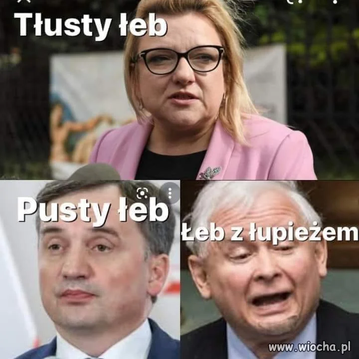Szeroka oferta ...
