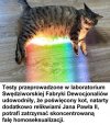 To jest przełom w nauce 