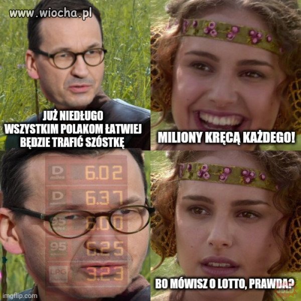 Matołusz. 