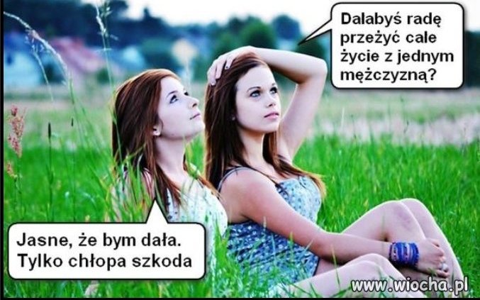 Dałaby radę 
