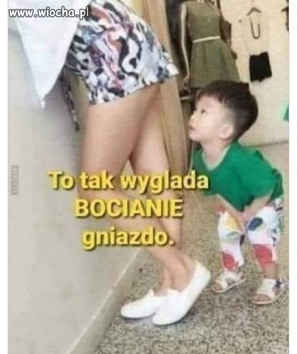 Mały odkrywca