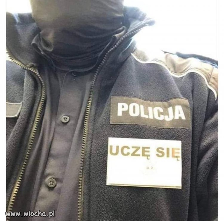 Ciekawe: szczekania się uczy czy aportowania?
