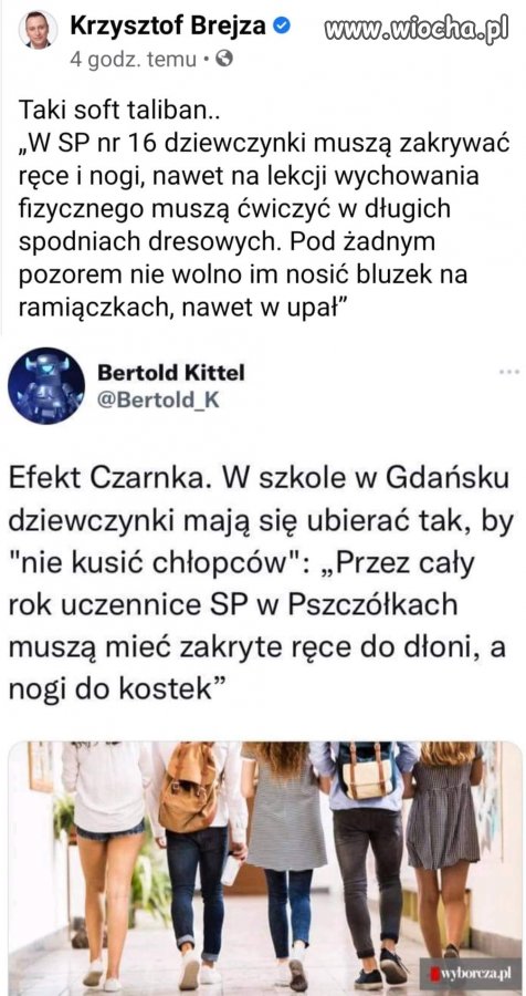 Grzeje