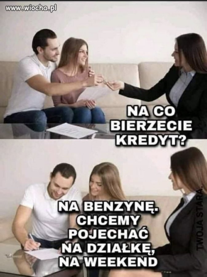 Ankieta