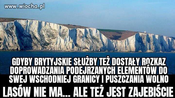 Ziemkiewicz powinien się cieszyć, że brytyjskie służby stosują cywilizowane metody...