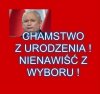 Nic dodać, nic ująć ...