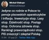 PiS zniszczył Polskę