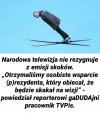 Tytuł nie jest konieczny.