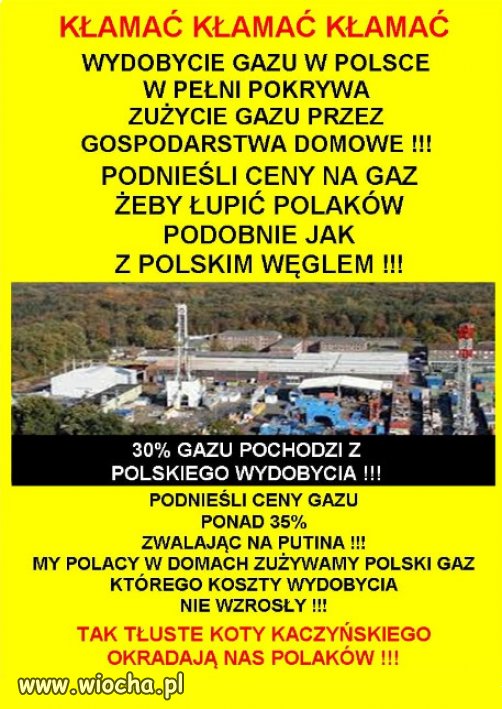 PiS doszedł do władzy dzięki kłamstwom i dalej kłamią...