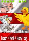 Cała elita kaczora