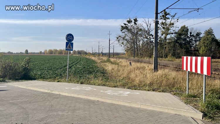 Droga rowerowa Jelcz-Laskowice