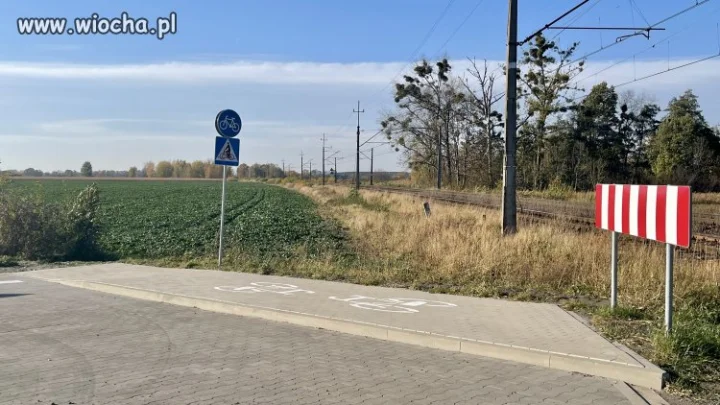 Droga rowerowa Jelcz-Laskowice