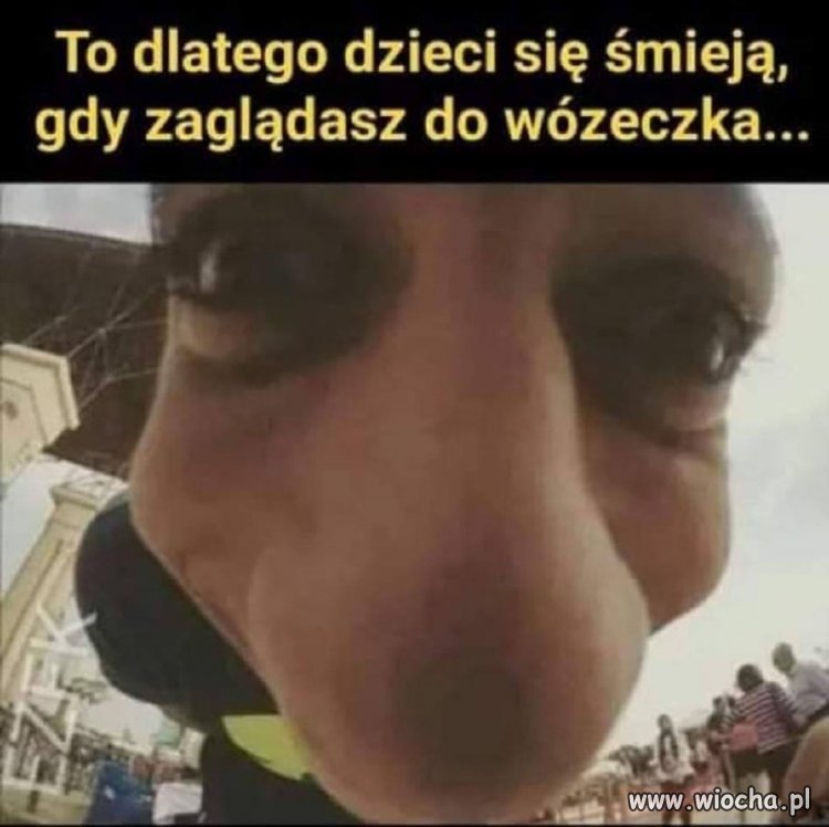 Widok z wózeczka 