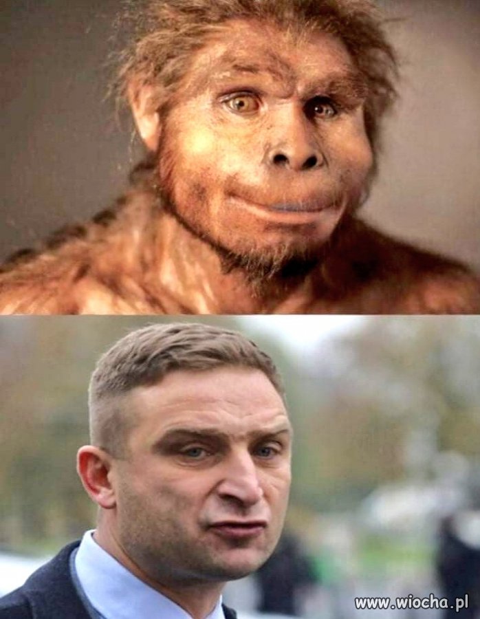 Za pieniądze ministra kultury zGlińskiego ogolono zBąkiewicza. 