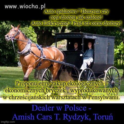 Sypać owies i jeździć