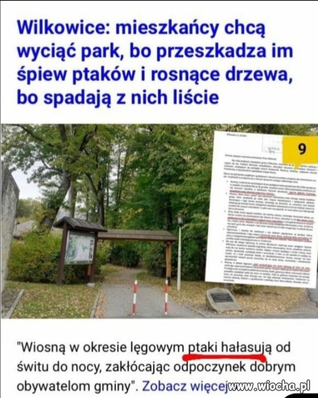 Lepsza betonoza