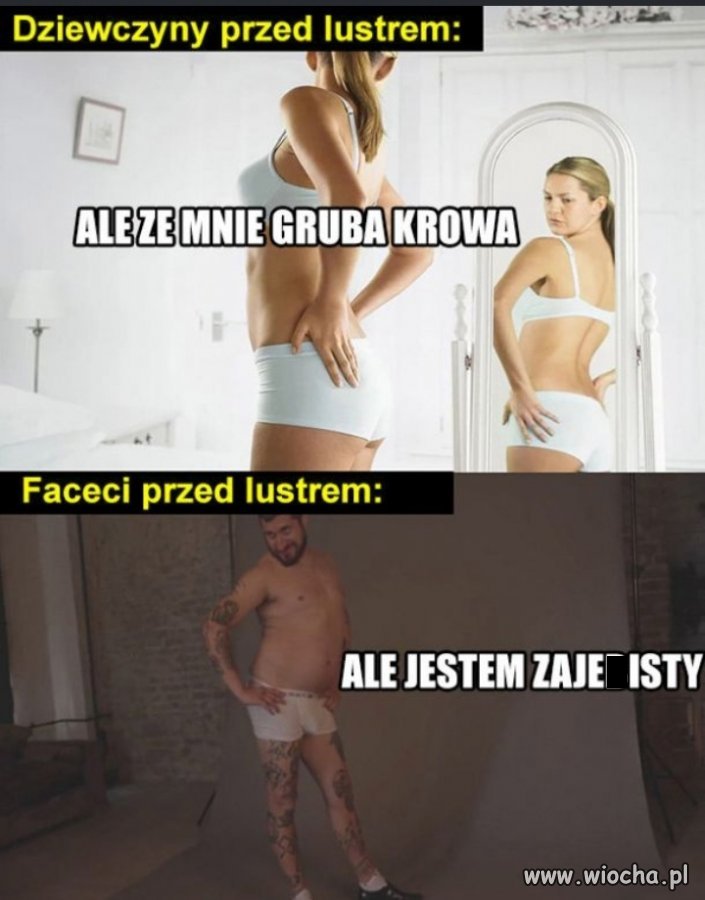 Bez polityki