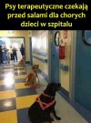 Bo lepiej dać na qurwizje