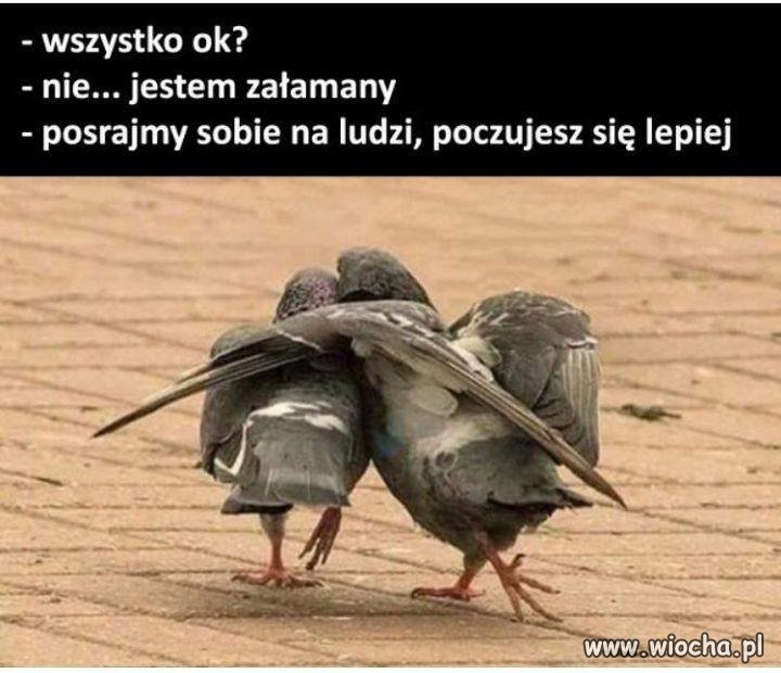 Gdy masz doła 