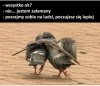 Gdy masz doła 