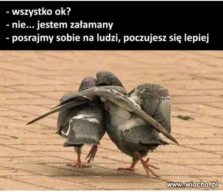 Gdy masz doła 