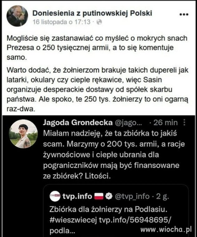 Polityka pisu
