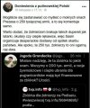 Polityka pisu